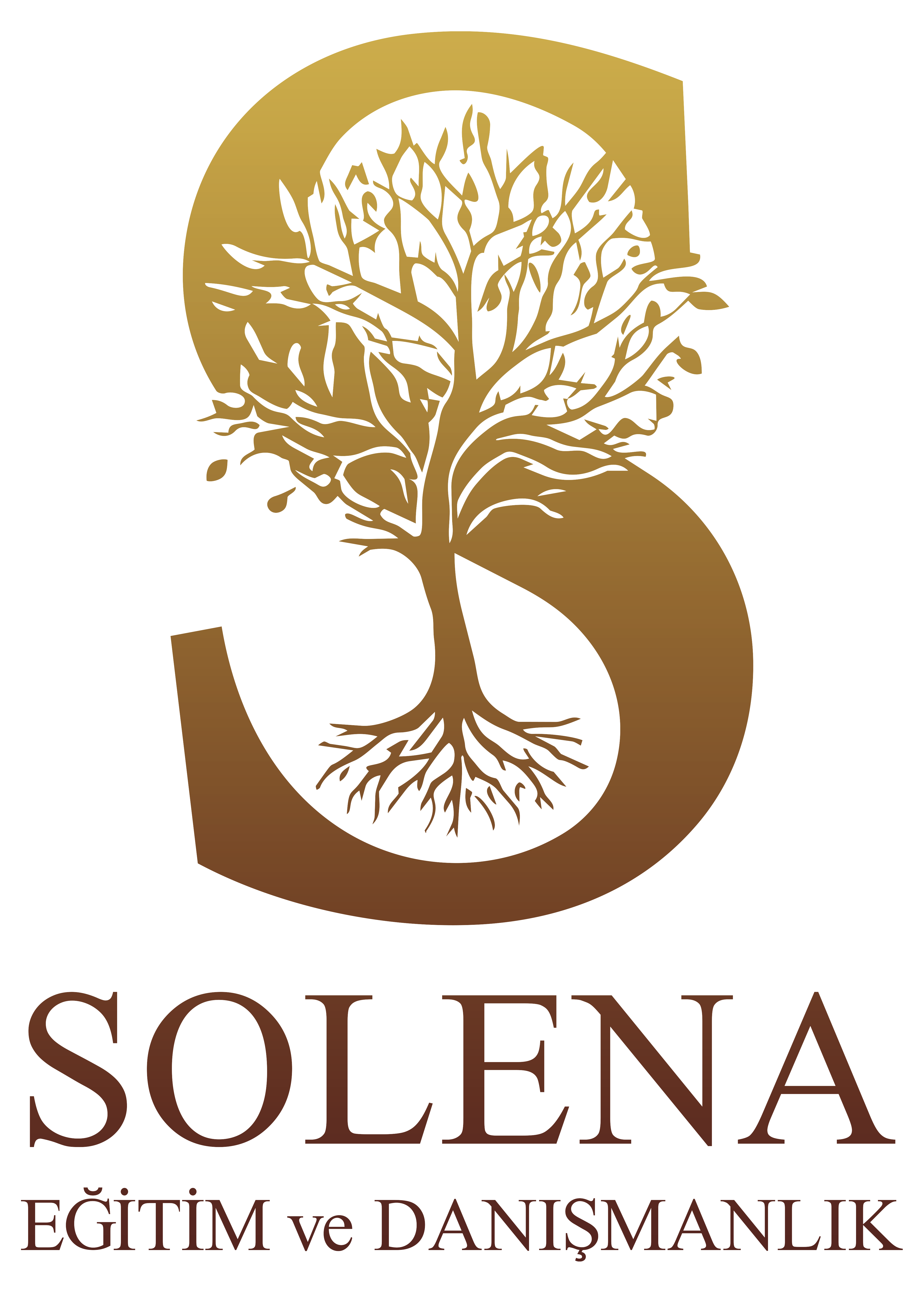 Solena Logo